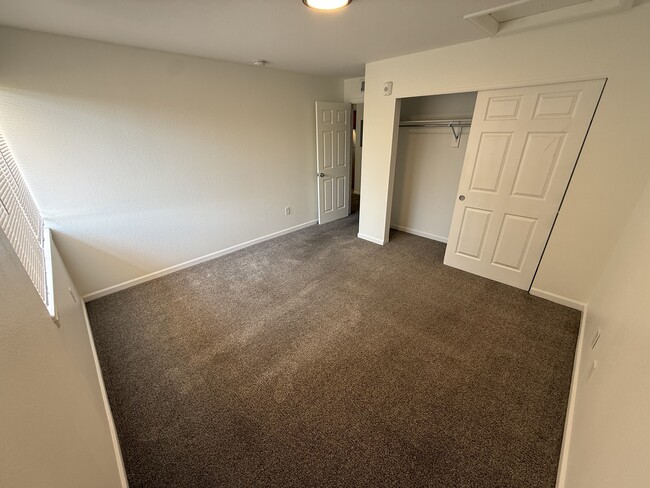 5120 Williams Fork Trl