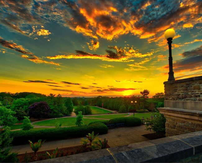 Photo - 3508 Tarpis Ave Unit ID1353186P