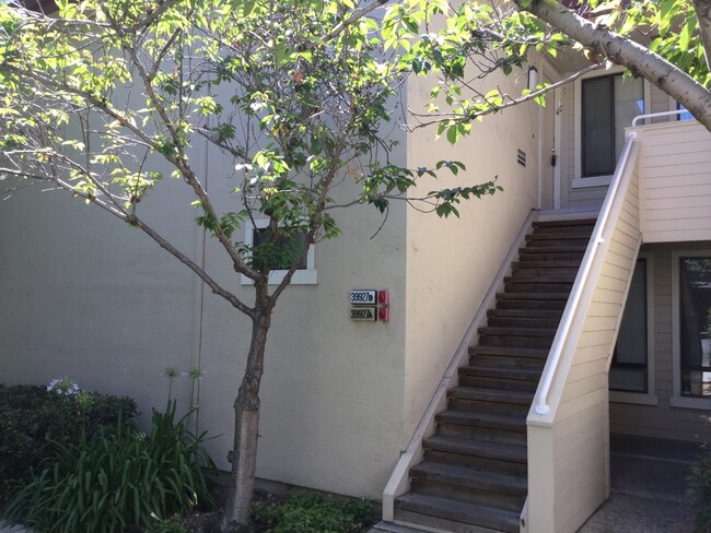 COMING SOON! 2 bedroom 2 bath condo in New... - COMING SOON! 2 bedroom 2 bath condo in New...