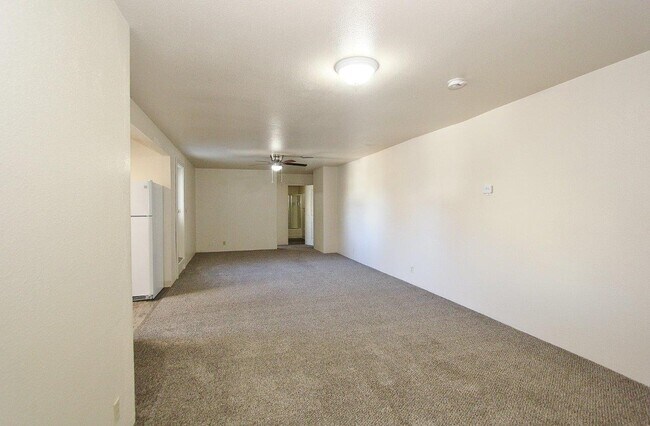 Photo - 705 Williams Rd