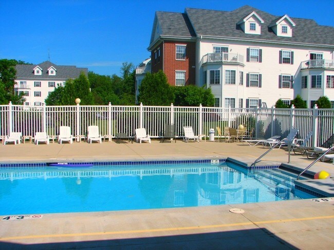 Piscina - Richmond Hills