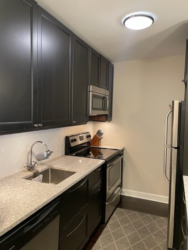 Photo - 535 N Michigan Ave Unidad 2003