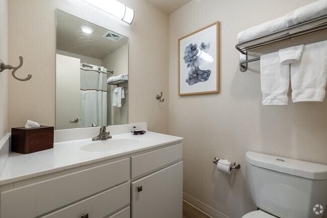 2BR, 2BA - 750SF - Bathroom