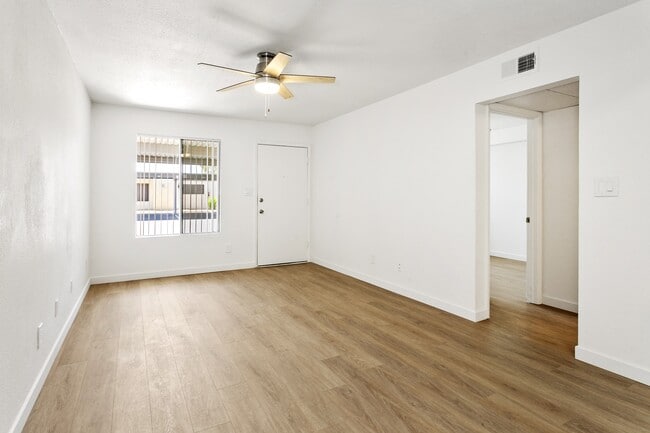 Photo - The Hamptons