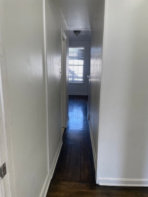 746 Broadway Unit 3