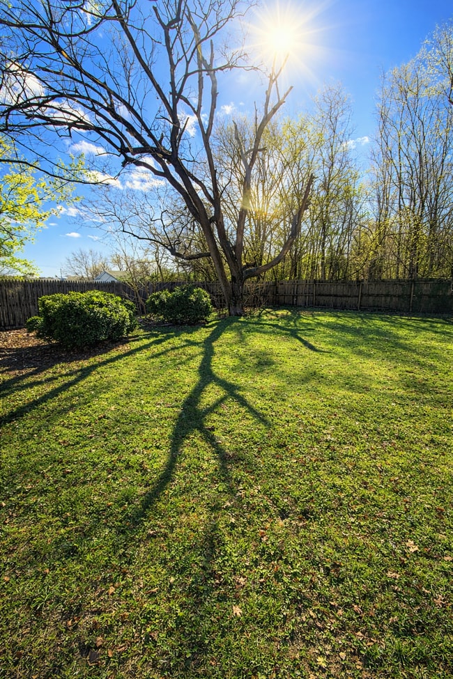 Photo - 311 Morris St