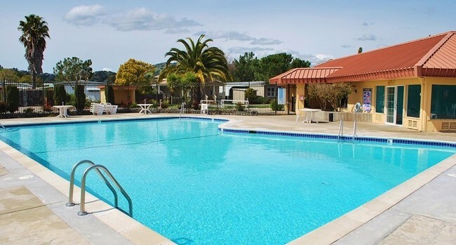 Pool - Contempo Marin