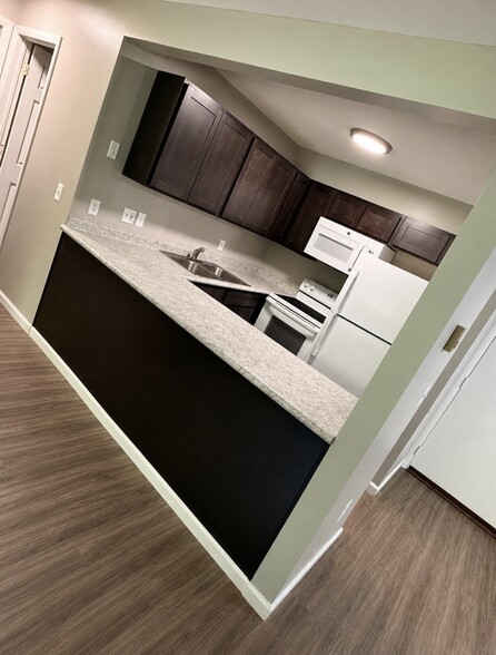 Renovated Kitchen