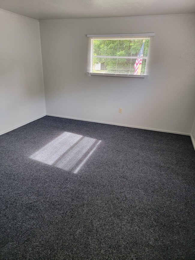 Photo - Completely Renovated HUGE 1/1!!!