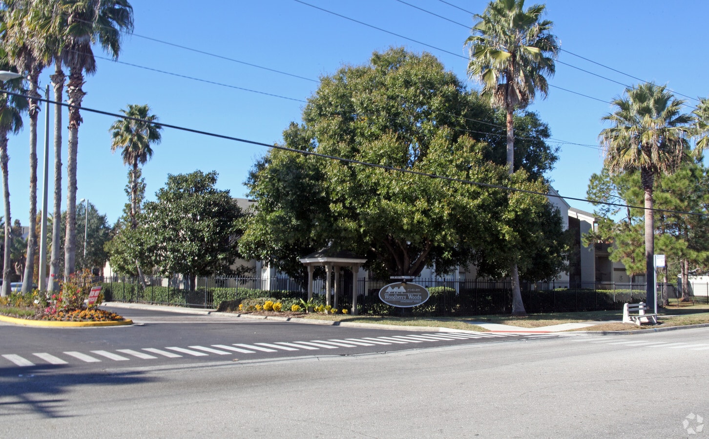 Photo - Woodberry Woods