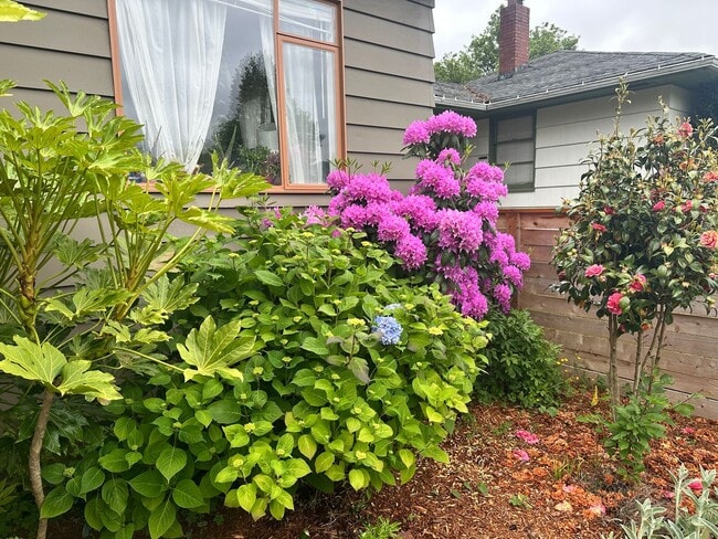 Photo - 5225 36th Ave SW