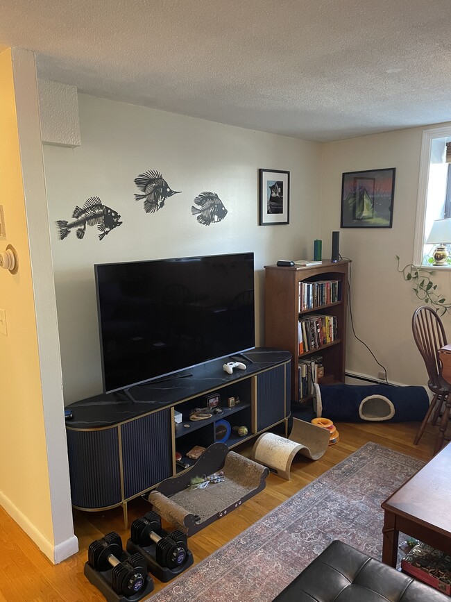 Photo - 65 Chester St Unit One bed in amazing, central location