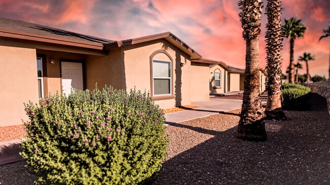 Photo - Patriot Palms