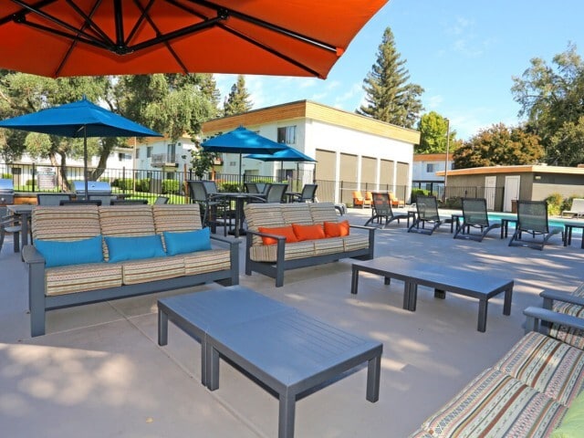 Pool and Sun Deck with Loungers - The Davenport