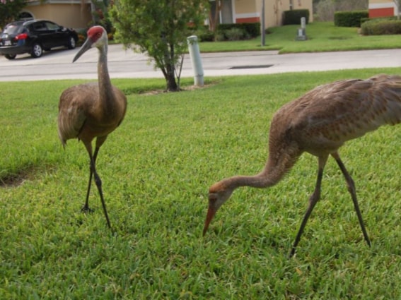 Photo - 2208 Mystic Ring Loop