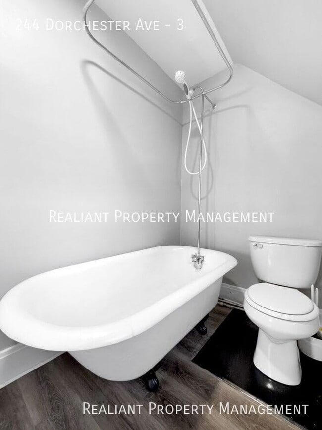 Photo - 244 Dorchester Ave Unit 3