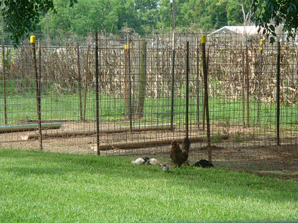 Photo - 2445 Precinct Line Rd