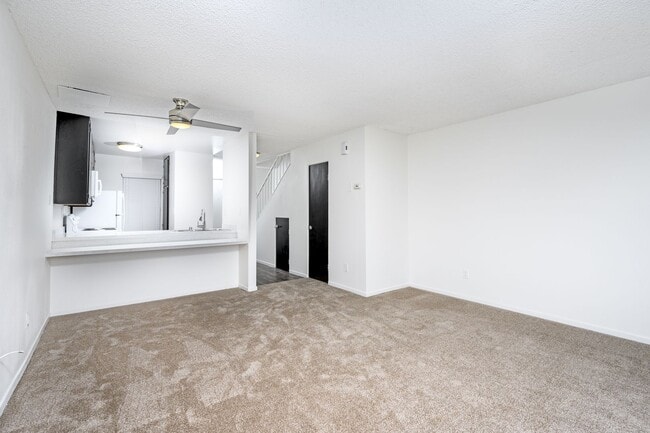 Photo - Antone Apartments