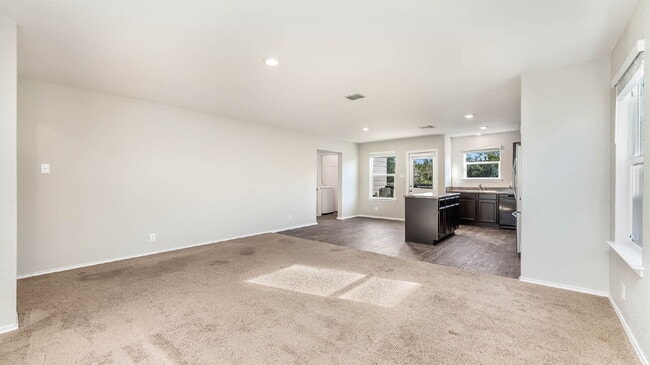 Photo - 206 Moscovy Duck