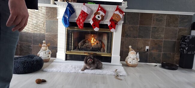 Photo - 24028 25th Ave S Unit Upstairs #A