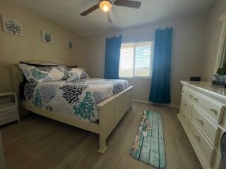 Photo - 3635 Lake Bayshore Dr (Bradenton, FL)