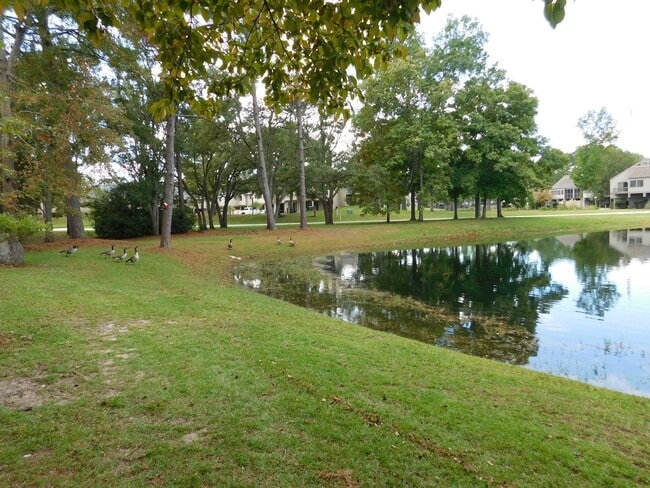 Photo - 1201 Harbourside Dr