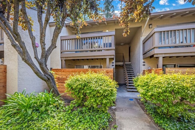 Walnut Creek! 1 bedroom 1 bathroom, Walk t... - Walnut Creek! 1 bedroom 1 bathroom, Walk t... Condo Unit #8