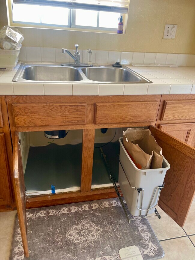 Kitchen sink with pull out trashcan - 1053 W 51st Pl Unit Jennifer Smith