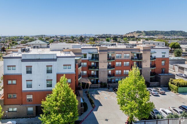 Alternar - El Paseo Family