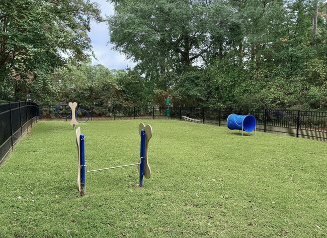 Dog Park