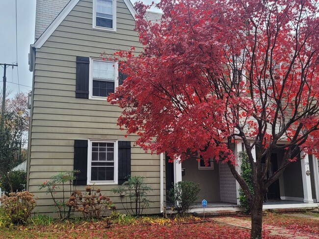 Photo - 217 Palen Avenue