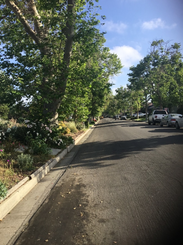 Photo - 4339 Heather Rd