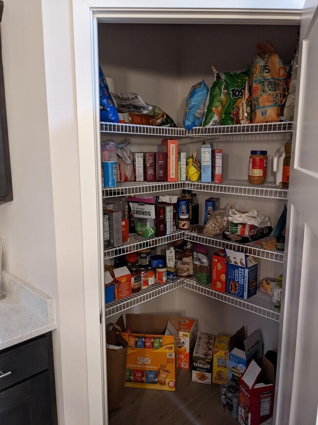 Huge walk-in pantry - 1501 N Windsor Ave Unit 106