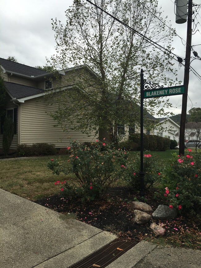 Photo - Immaculate 3 Bedroom Townhome in Huntington/Barboursville Area
