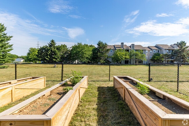 Photo - Sawmill Ridge