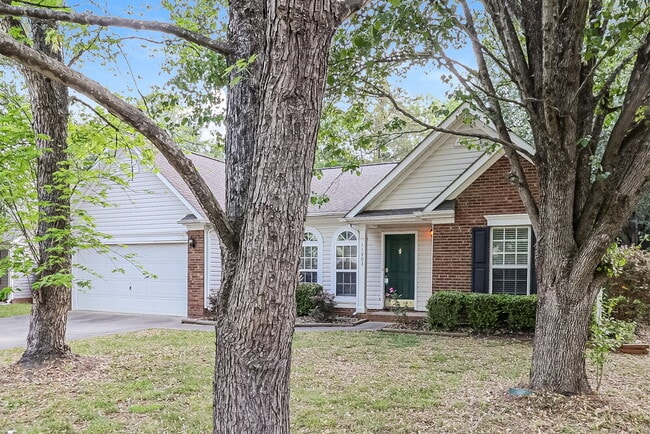 Photo - 14903 Cane Field Dr