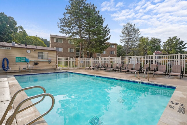 Piscina y solárium - Brighton Park