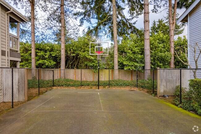 Basketball Court