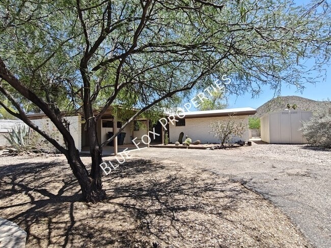 Building Photo - 2781 W Calle Carapan