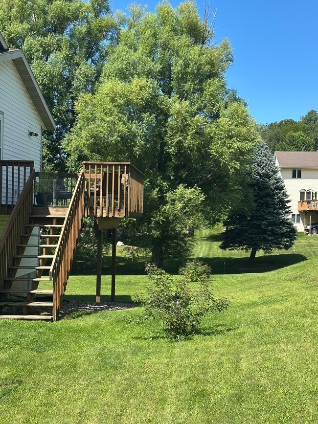 Deck/Yard