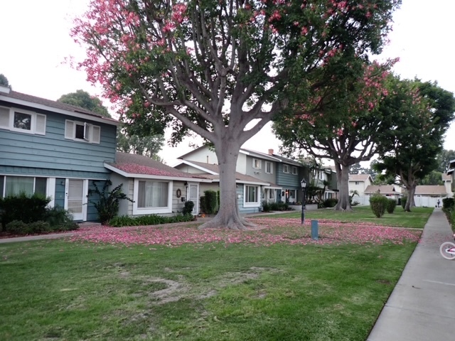 Photo - 19925 Sheffield Ln Townhome