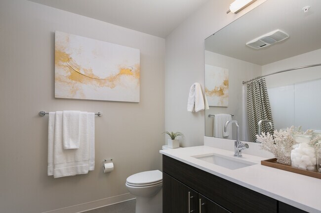 Photo - VIVID Queen Anne