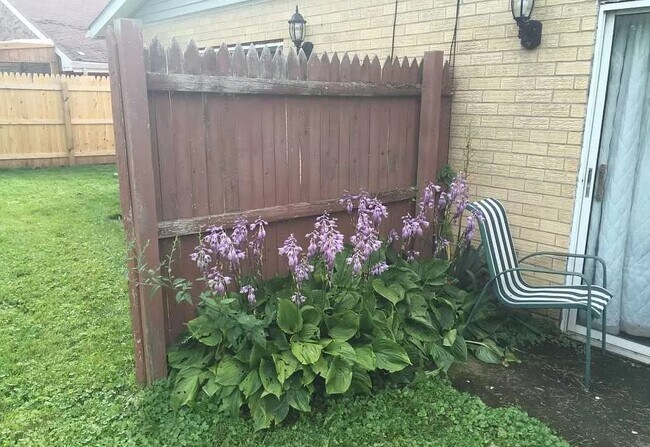 Backyard - 540 Charles St Unit 542