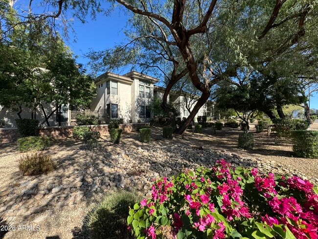 Photo - 6900 E Princess Dr