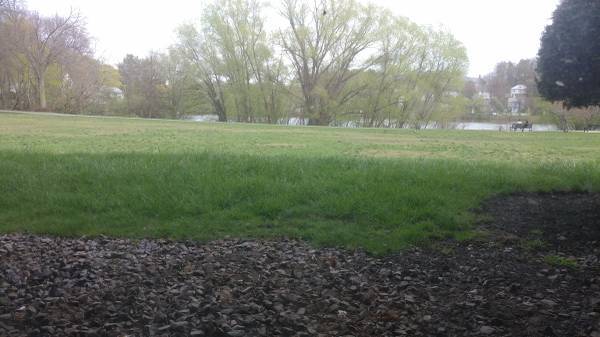 Photo - 140 Kenrick St Unit 4