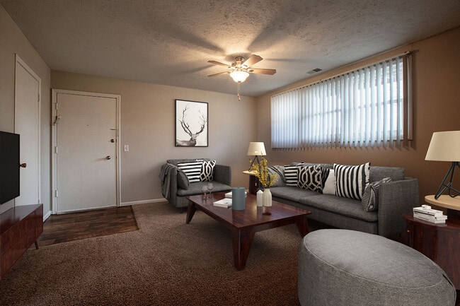 One Bedroom Living Space