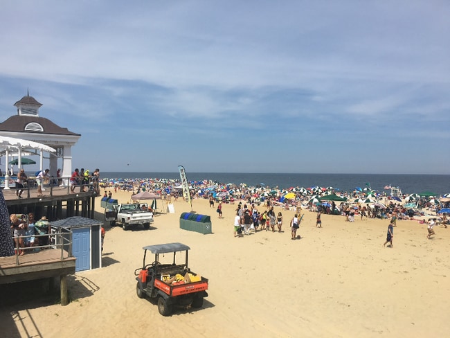 Photo - 3 Calvert Ave