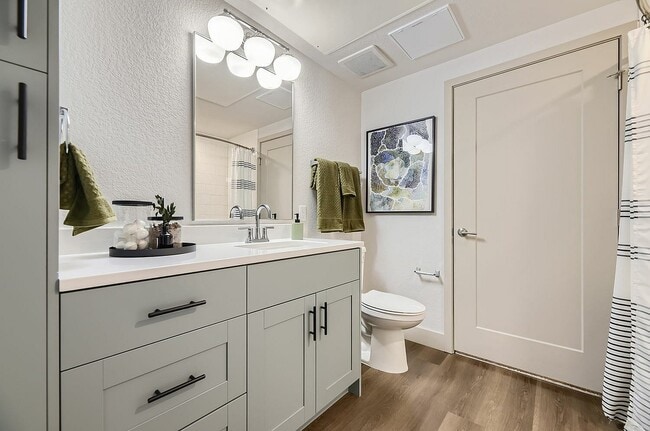 Clean, Crisp, and Contemporary