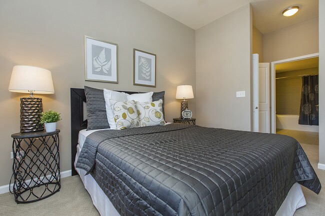 The Shelby Apartments For Rent in Chicago, IL