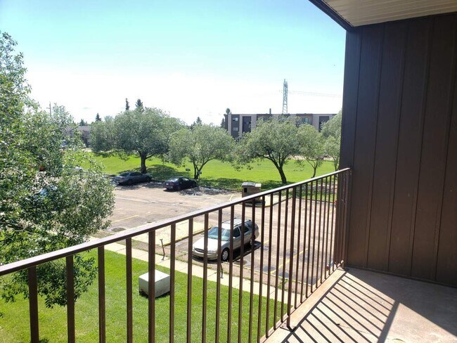 Photo - Hampton Court